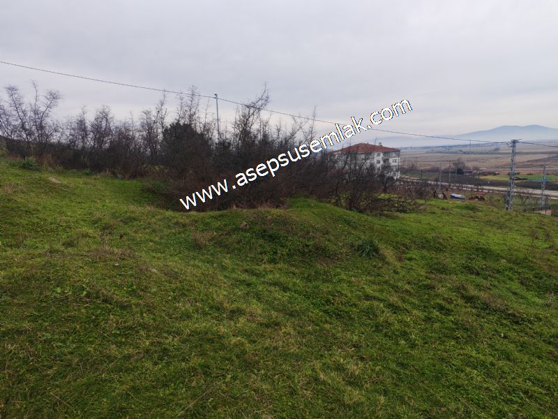 431 m² Mustakil Parsel Doğanın Kalbinde Geleceğin Yatırımı