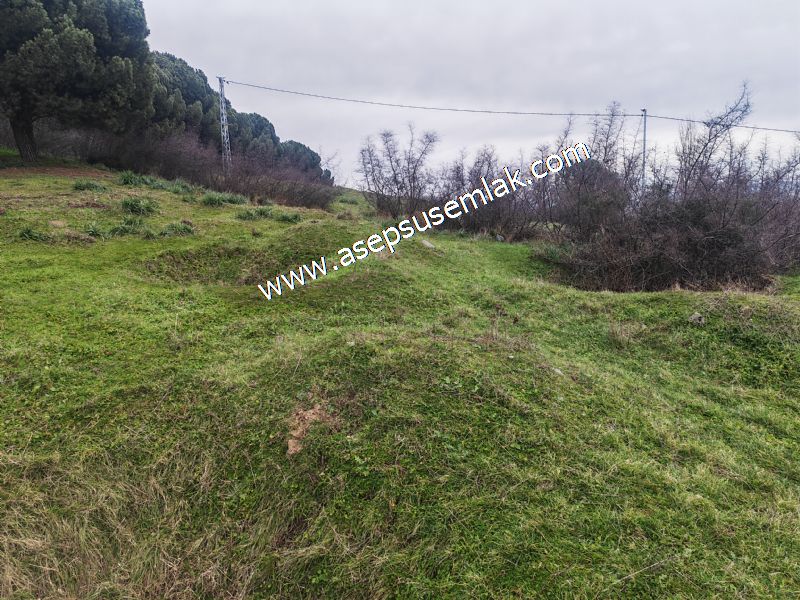 431 m² Mustakil Parsel Doğanın Kalbinde Geleceğin Yatırımı