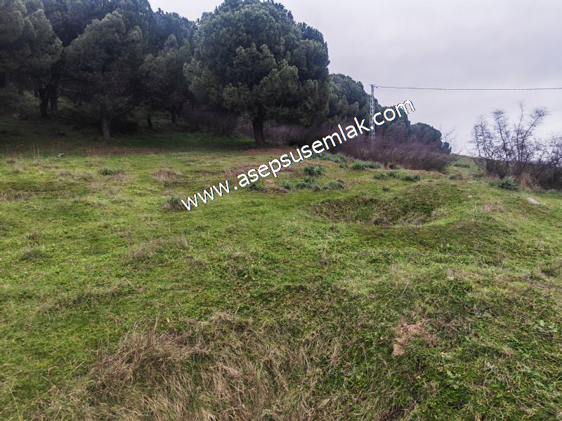 431 m² Mustakil Parsel Doğanın Kalbinde Geleceğin Yatırımı