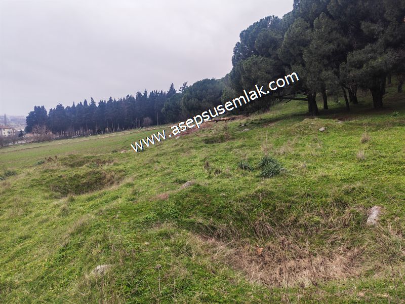 431 m² Mustakil Parsel Doğanın Kalbinde Geleceğin Yatırımı