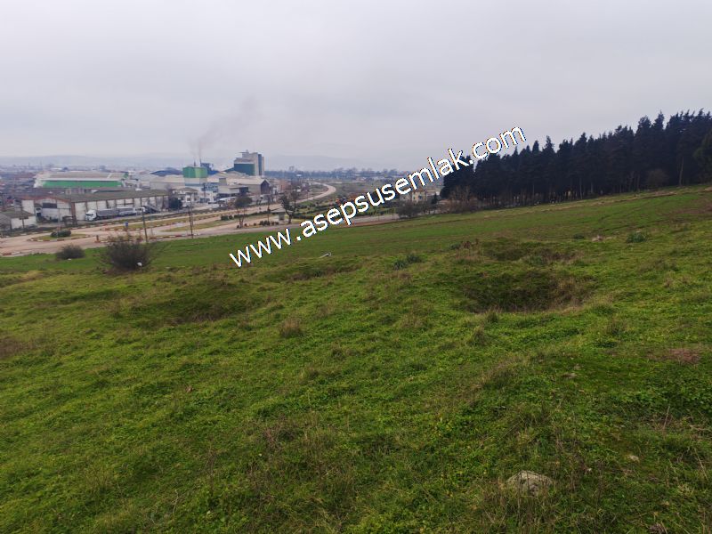 431 m² Mustakil Parsel Doğanın Kalbinde Geleceğin Yatırımı