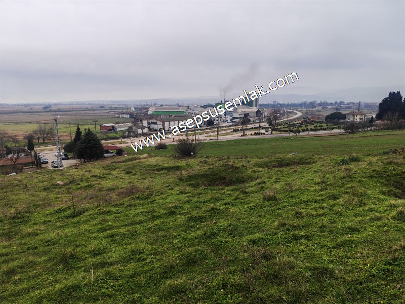 431 m² Mustakil Parsel Doğanın Kalbinde Geleceğin Yatırımı