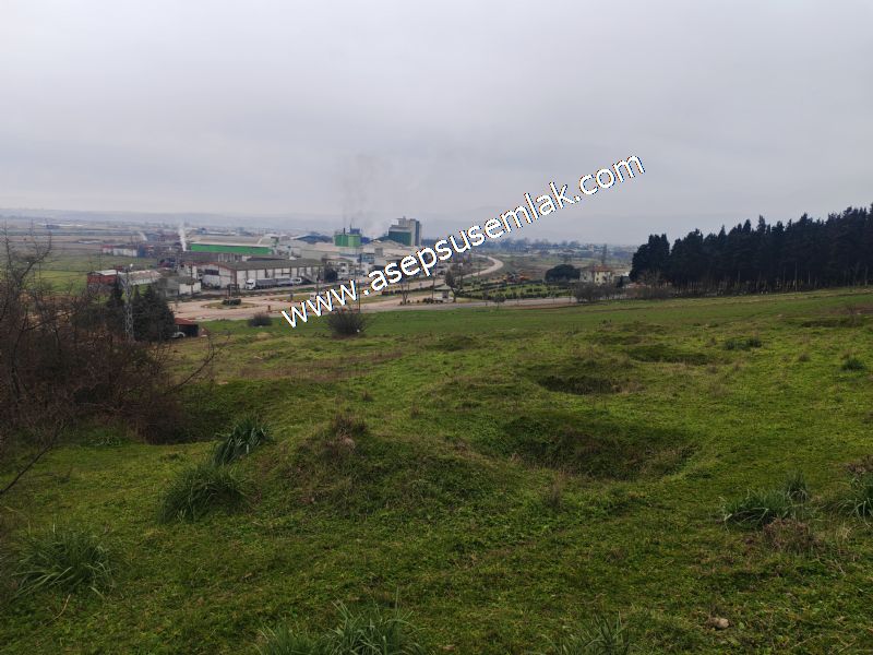 431 m² Mustakil Parsel Doğanın Kalbinde Geleceğin Yatırımı