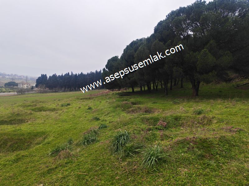 431 m² Mustakil Parsel Doğanın Kalbinde Geleceğin Yatırımı