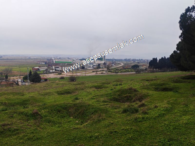 431 m² Mustakil Parsel Doğanın Kalbinde Geleceğin Yatırımı