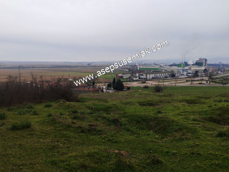 431 m² Mustakil Parsel Doğanın Kalbinde Geleceğin Yatırımı