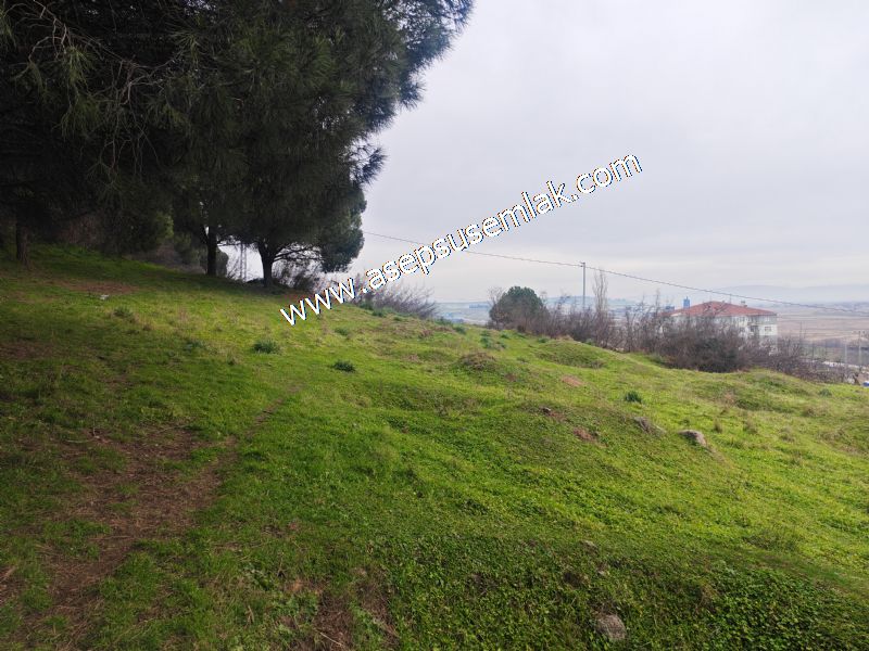 431 m² Mustakil Parsel Doğanın Kalbinde Geleceğin Yatırımı