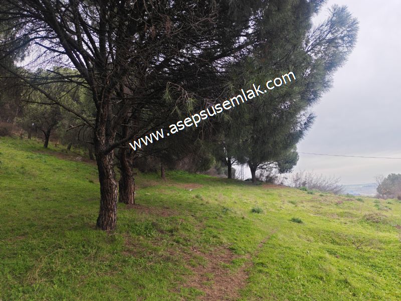 431 m² Mustakil Parsel Doğanın Kalbinde Geleceğin Yatırımı