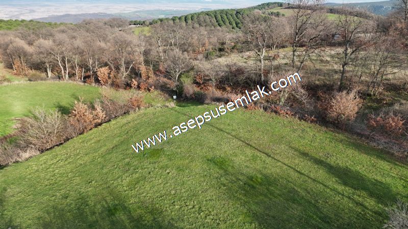 GÖNEN ÇIĞMIŞ’TA 2.533 m² TEK TAPU • KADASTRO YOLA 49 MT CEPHE • ORMAN ARKASI • HOBİ BAHÇESİ & YATIRIMLIK FIRSAT