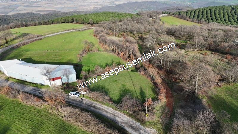 GÖNEN ÇIĞMIŞ’TA 2.533 m² TEK TAPU • KADASTRO YOLA 49 MT CEPHE • ORMAN ARKASI • HOBİ BAHÇESİ & YATIRIMLIK FIRSAT