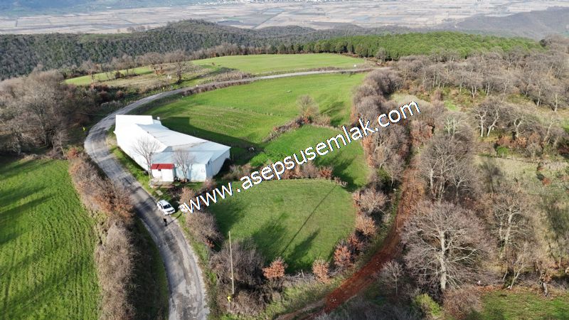 GÖNEN ÇIĞMIŞ’TA 2.533 m² TEK TAPU • KADASTRO YOLA 49 MT CEPHE • ORMAN ARKASI • HOBİ BAHÇESİ & YATIRIMLIK FIRSAT