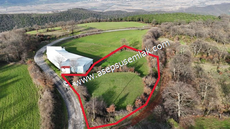 GÖNEN ÇIĞMIŞ’TA 2.533 m² TEK TAPU • KADASTRO YOLA 49 MT CEPHE • ORMAN ARKASI • HOBİ BAHÇESİ & YATIRIMLIK FIRSAT