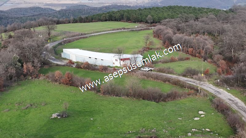 GÖNEN ÇIĞMIŞ’TA 2.533 m² TEK TAPU • KADASTRO YOLA 49 MT CEPHE • ORMAN ARKASI • HOBİ BAHÇESİ & YATIRIMLIK FIRSAT