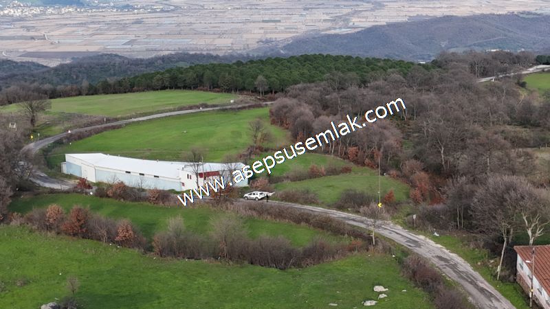 GÖNEN ÇIĞMIŞ’TA 2.533 m² TEK TAPU • KADASTRO YOLA 49 MT CEPHE • ORMAN ARKASI • HOBİ BAHÇESİ & YATIRIMLIK FIRSAT