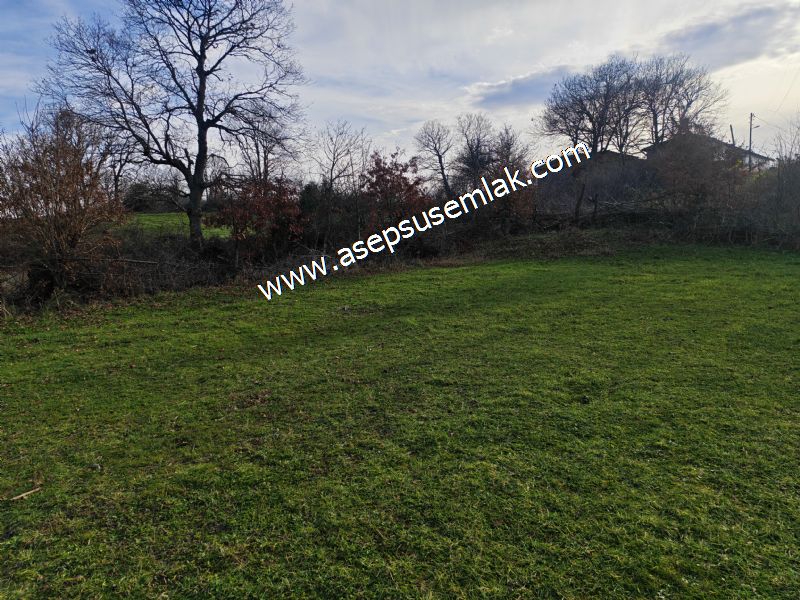 GÖNEN ÇIĞMIŞ’TA 2.533 m² TEK TAPU • KADASTRO YOLA 49 MT CEPHE • ORMAN ARKASI • HOBİ BAHÇESİ & YATIRIMLIK FIRSAT