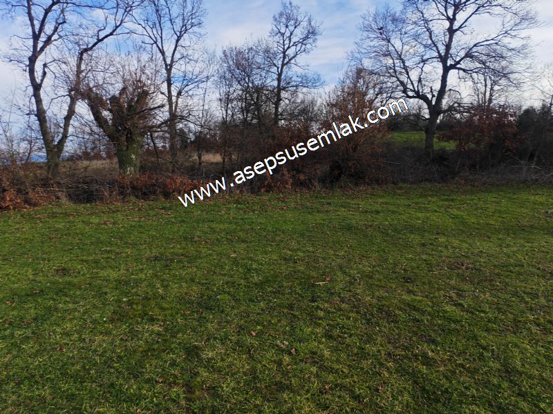 GÖNEN ÇIĞMIŞ’TA 2.533 m² TEK TAPU • KADASTRO YOLA 49 MT CEPHE • ORMAN ARKASI • HOBİ BAHÇESİ & YATIRIMLIK FIRSAT