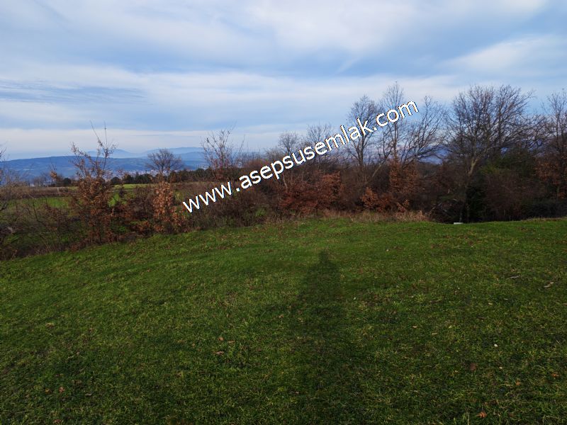 GÖNEN ÇIĞMIŞ’TA 2.533 m² TEK TAPU • KADASTRO YOLA 49 MT CEPHE • ORMAN ARKASI • HOBİ BAHÇESİ & YATIRIMLIK FIRSAT