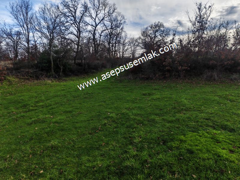 GÖNEN ÇIĞMIŞ’TA 2.533 m² TEK TAPU • KADASTRO YOLA 49 MT CEPHE • ORMAN ARKASI • HOBİ BAHÇESİ & YATIRIMLIK FIRSAT