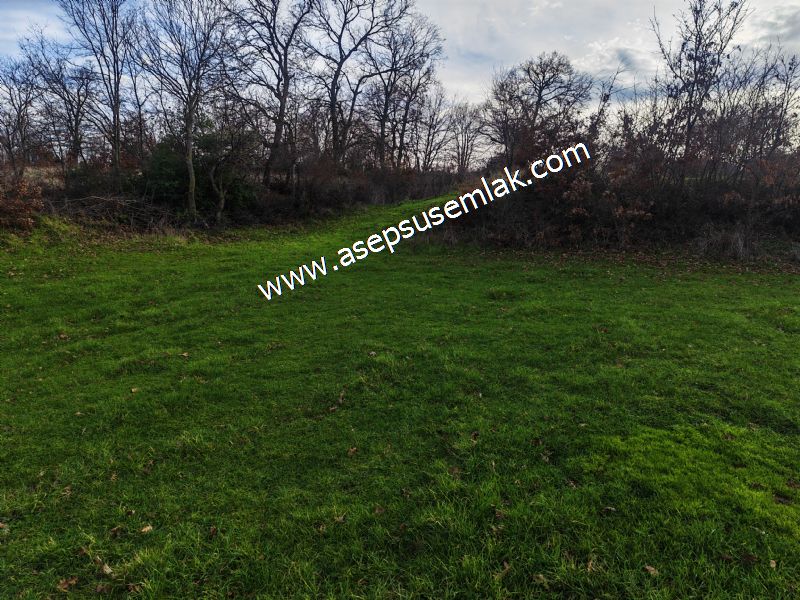 GÖNEN ÇIĞMIŞ’TA 2.533 m² TEK TAPU • KADASTRO YOLA 49 MT CEPHE • ORMAN ARKASI • HOBİ BAHÇESİ & YATIRIMLIK FIRSAT