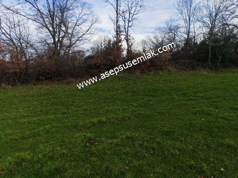 GÖNEN ÇIĞMIŞ’TA 2.533 m² TEK TAPU • KADASTRO YOLA 49 MT CEPHE • ORMAN ARKASI • HOBİ BAHÇESİ & YATIRIMLIK FIRSAT