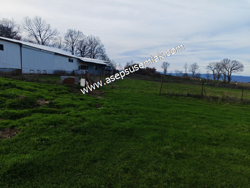 GÖNEN ÇIĞMIŞ’TA 2.533 m² TEK TAPU • KADASTRO YOLA 49 MT CEPHE • ORMAN ARKASI • HOBİ BAHÇESİ & YATIRIMLIK FIRSAT