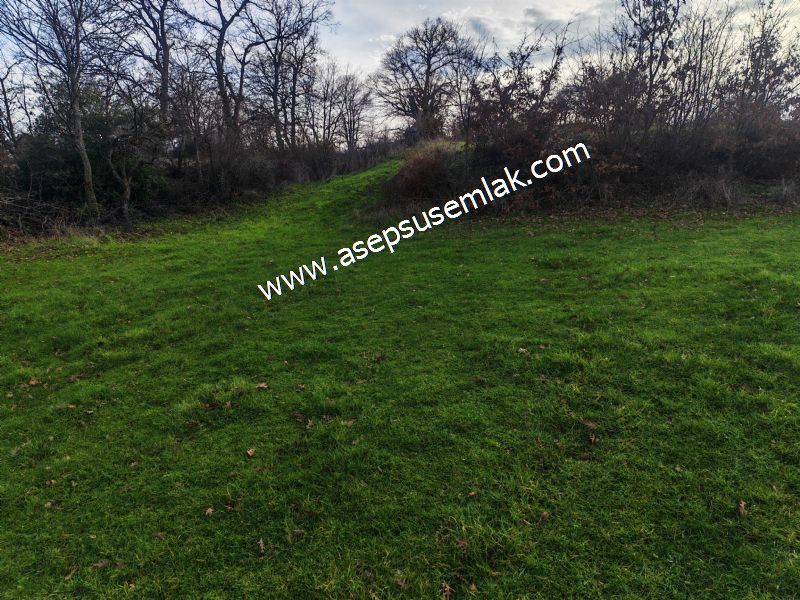 GÖNEN ÇIĞMIŞ’TA 2.533 m² TEK TAPU • KADASTRO YOLA 49 MT CEPHE • ORMAN ARKASI • HOBİ BAHÇESİ & YATIRIMLIK FIRSAT