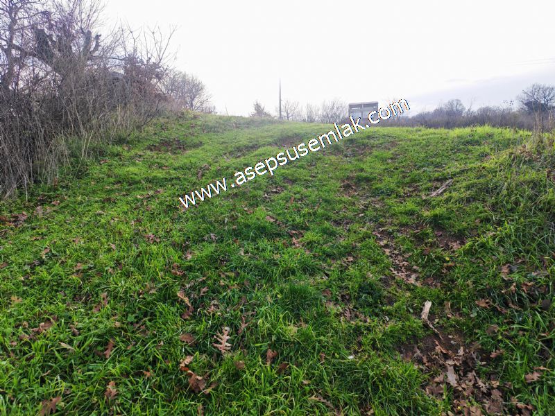 GÖNEN ÇIĞMIŞ’TA 2.533 m² TEK TAPU • KADASTRO YOLA 49 MT CEPHE • ORMAN ARKASI • HOBİ BAHÇESİ & YATIRIMLIK FIRSAT