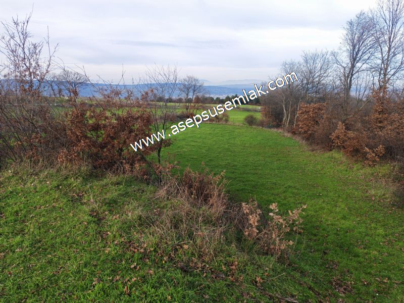 GÖNEN ÇIĞMIŞ’TA 2.533 m² TEK TAPU • KADASTRO YOLA 49 MT CEPHE • ORMAN ARKASI • HOBİ BAHÇESİ & YATIRIMLIK FIRSAT