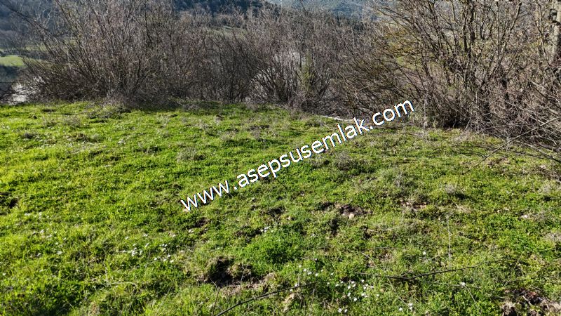 Gönen Yörükkeçidere’de 23.141 m² Yola Cephe | Projeli Yatırımlık Arazi 