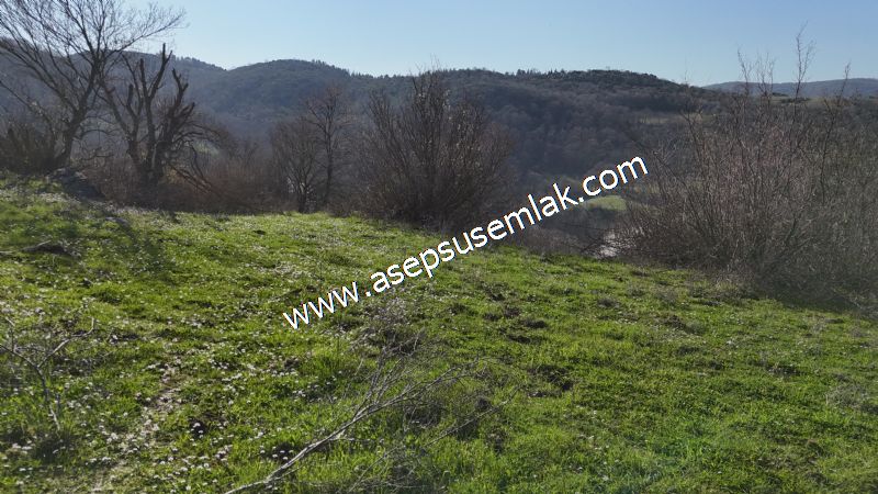 Gönen Yörükkeçidere’de 23.141 m² Yola Cephe | Projeli Yatırımlık Arazi 