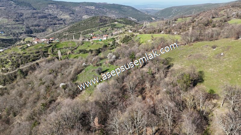 Gönen Yörükkeçidere’de 23.141 m² Yola Cephe | Projeli Yatırımlık Arazi 