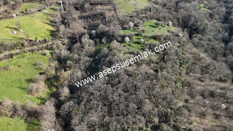 Gönen Yörükkeçidere’de 23.141 m² Yola Cephe | Projeli Yatırımlık Arazi 