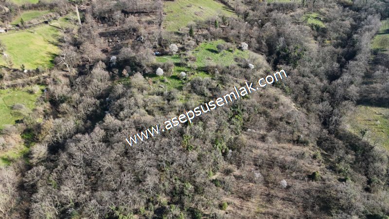 Gönen Yörükkeçidere’de 23.141 m² Yola Cephe | Projeli Yatırımlık Arazi 