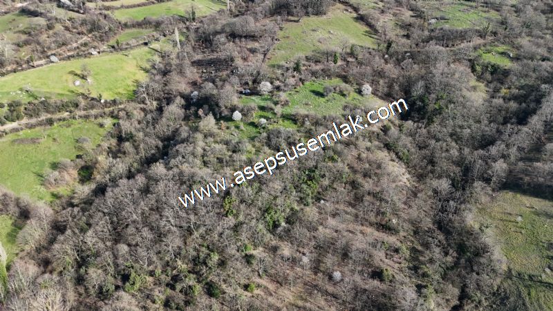 Gönen Yörükkeçidere’de 23.141 m² Yola Cephe | Projeli Yatırımlık Arazi 