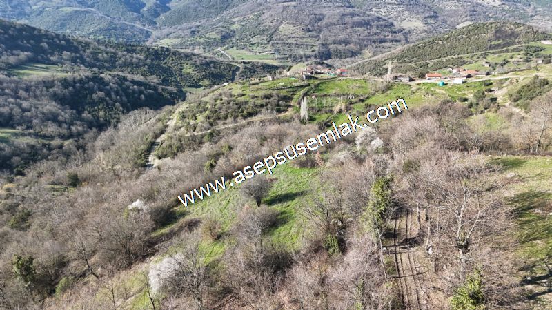 Gönen Yörükkeçidere’de 23.141 m² Yola Cephe | Projeli Yatırımlık Arazi 