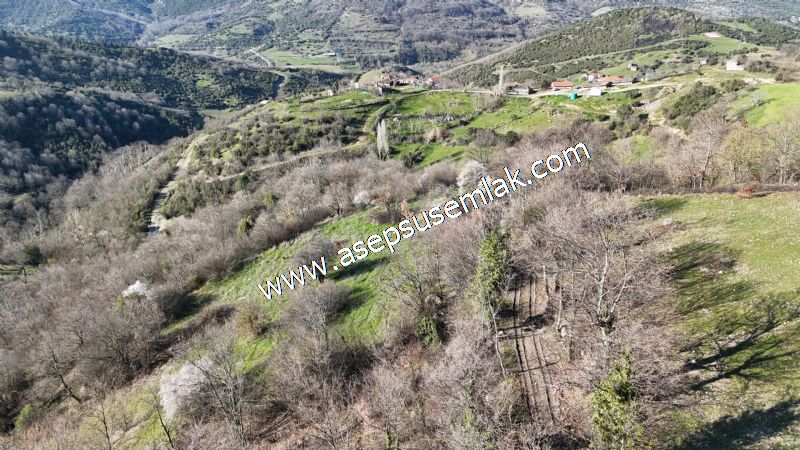 Gönen Yörükkeçidere’de 23.141 m² Yola Cephe | Projeli Yatırımlık Arazi 