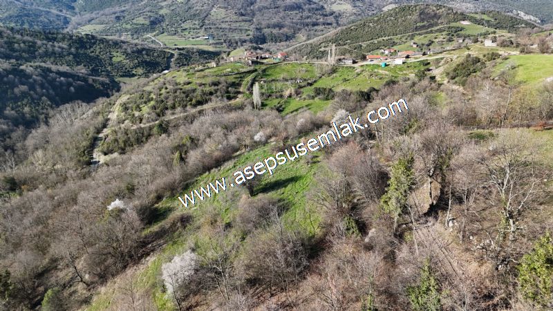 Gönen Yörükkeçidere’de 23.141 m² Yola Cephe | Projeli Yatırımlık Arazi 