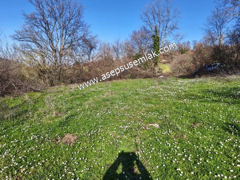 Gönen Yörükkeçidere’de 23.141 m² Yola Cephe | Projeli Yatırımlık Arazi 