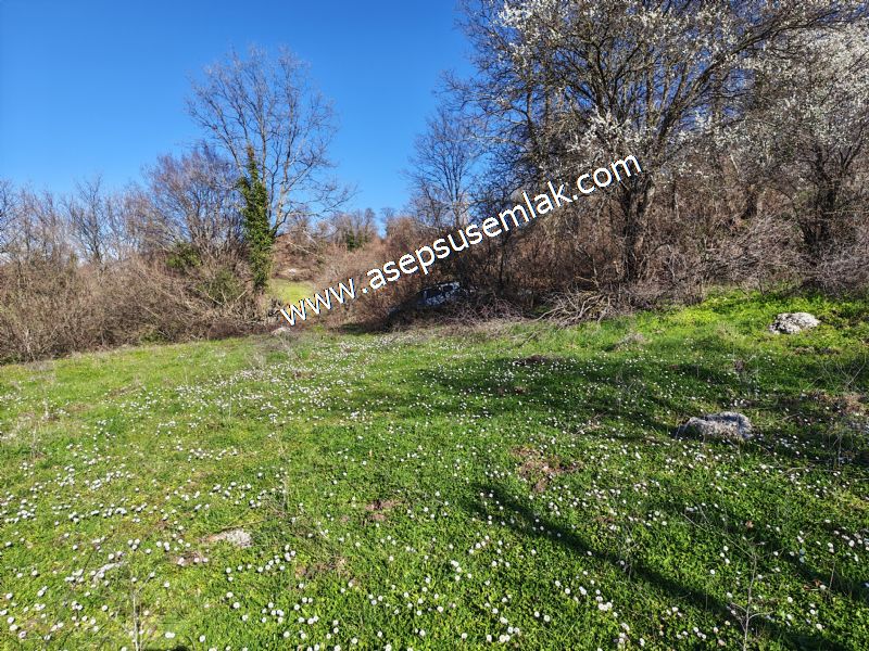 Gönen Yörükkeçidere’de 23.141 m² Yola Cephe | Projeli Yatırımlık Arazi 