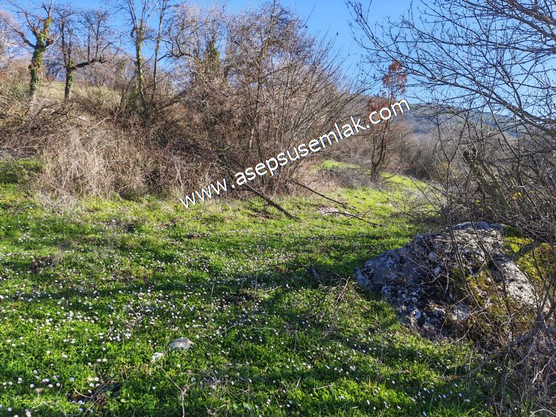 Gönen Yörükkeçidere’de 23.141 m² Yola Cephe | Projeli Yatırımlık Arazi 