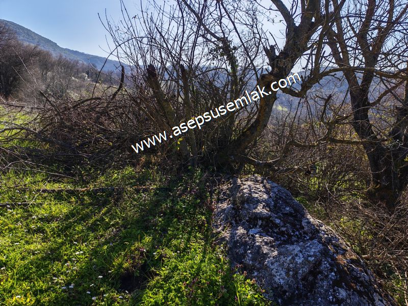 Gönen Yörükkeçidere’de 23.141 m² Yola Cephe | Projeli Yatırımlık Arazi 