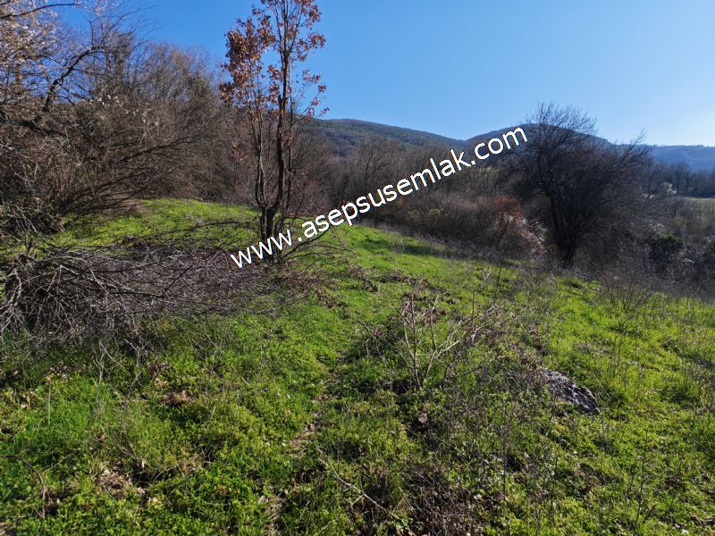 Gönen Yörükkeçidere’de 23.141 m² Yola Cephe | Projeli Yatırımlık Arazi 