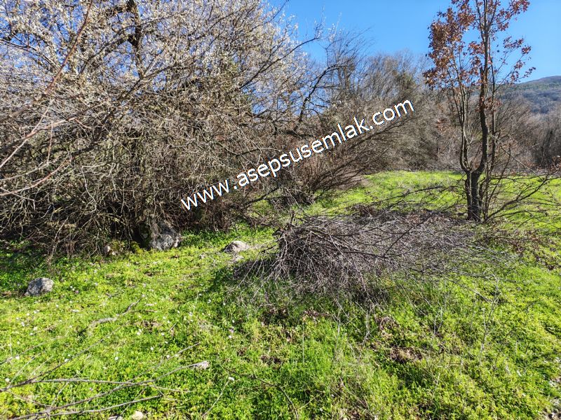 Gönen Yörükkeçidere’de 23.141 m² Yola Cephe | Projeli Yatırımlık Arazi 