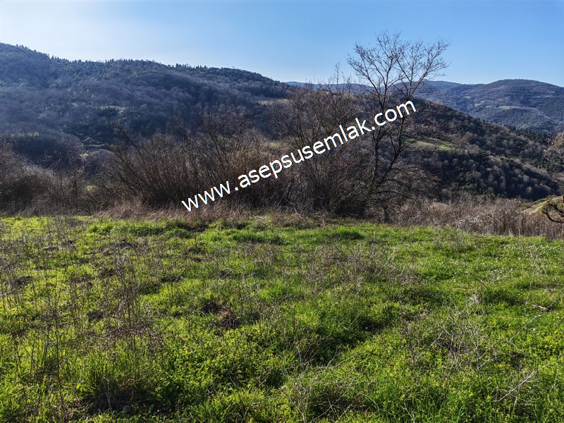 Gönen Yörükkeçidere’de 23.141 m² Yola Cephe | Projeli Yatırımlık Arazi 