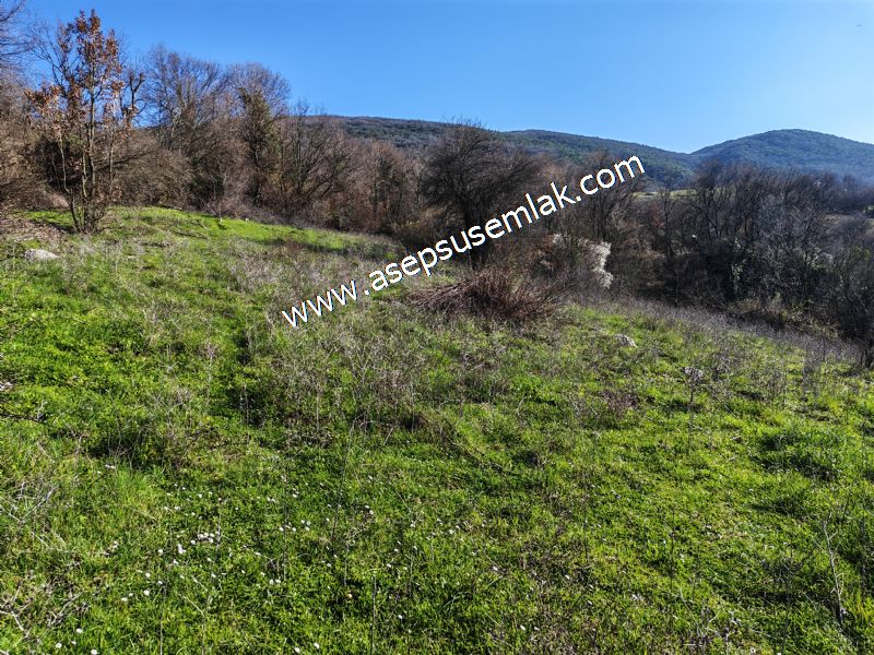 Gönen Yörükkeçidere’de 23.141 m² Yola Cephe | Projeli Yatırımlık Arazi 