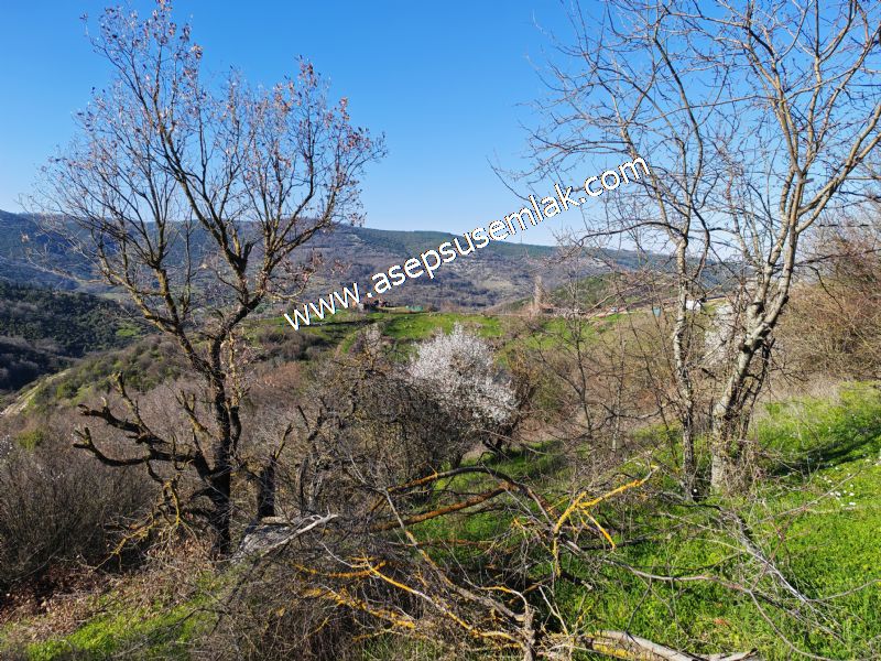 Gönen Yörükkeçidere’de 23.141 m² Yola Cephe | Projeli Yatırımlık Arazi 