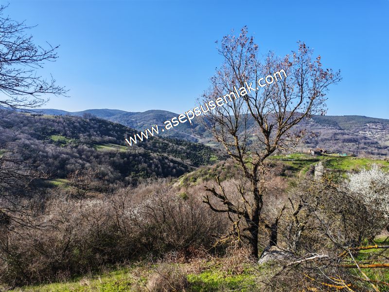 Gönen Yörükkeçidere’de 23.141 m² Yola Cephe | Projeli Yatırımlık Arazi 