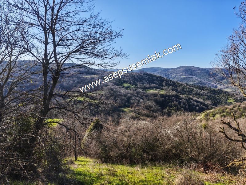 Gönen Yörükkeçidere’de 23.141 m² Yola Cephe | Projeli Yatırımlık Arazi 