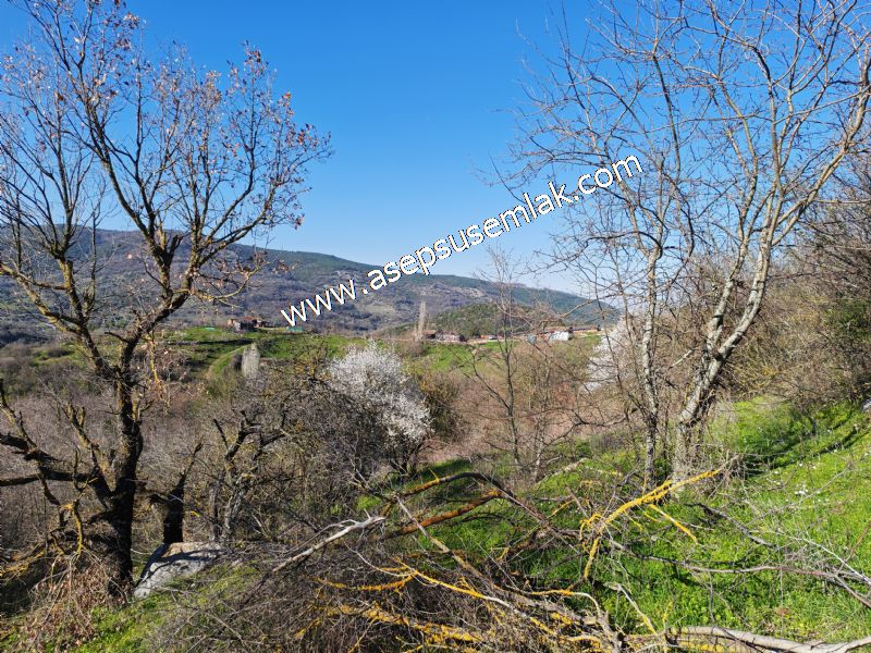 Gönen Yörükkeçidere’de 23.141 m² Yola Cephe | Projeli Yatırımlık Arazi 