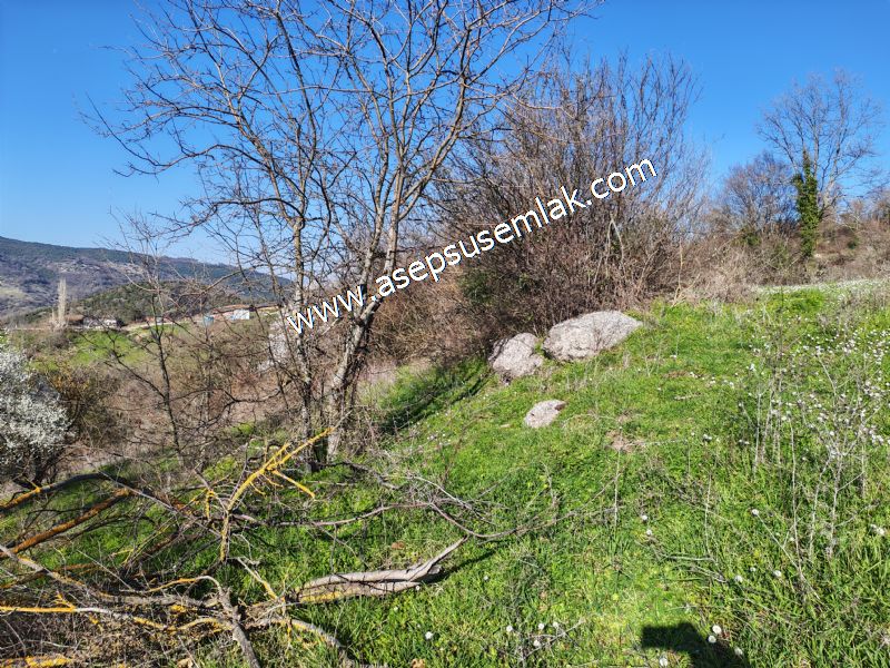 Gönen Yörükkeçidere’de 23.141 m² Yola Cephe | Projeli Yatırımlık Arazi 